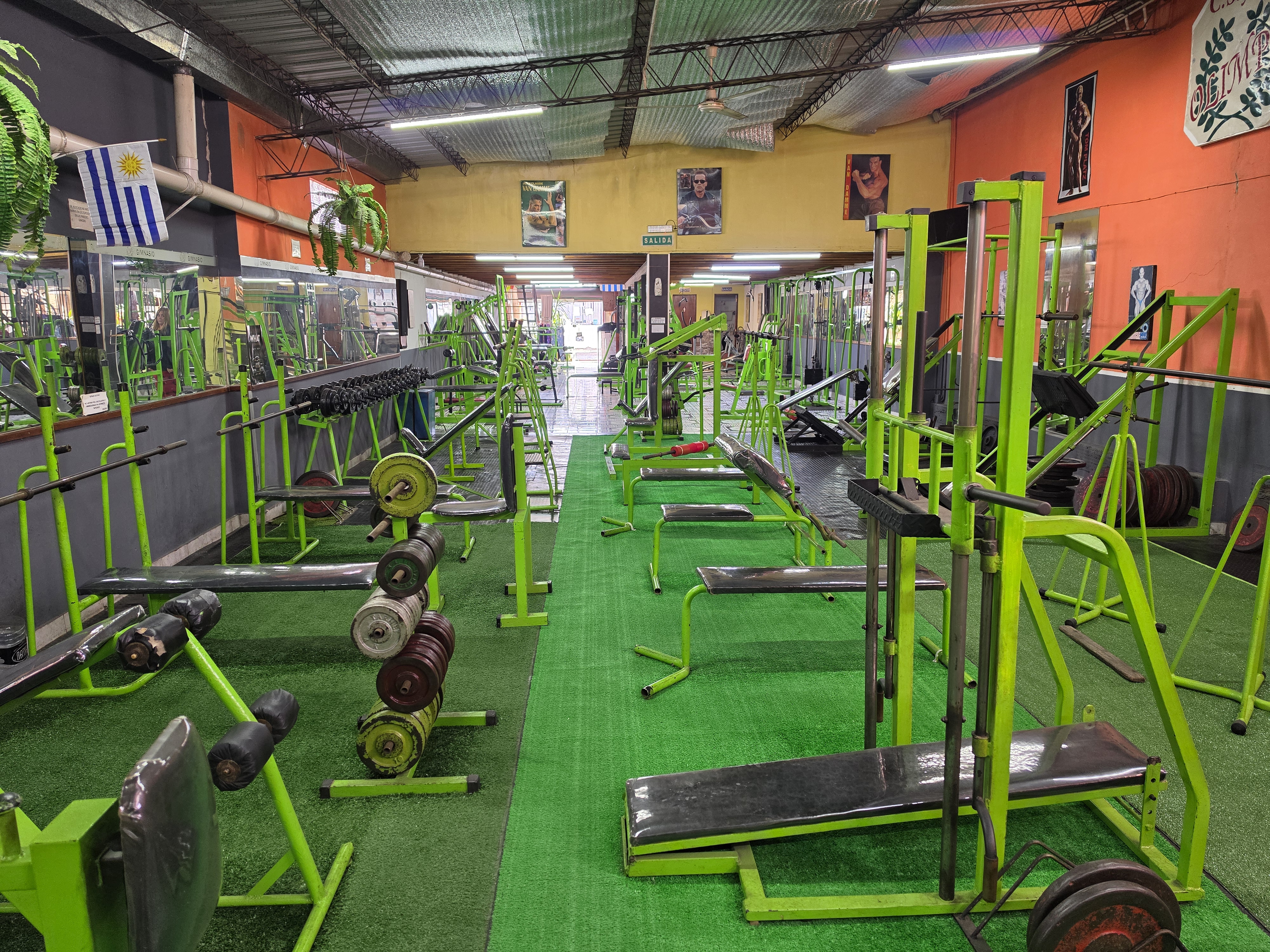 Sector de musculación con mancuernas